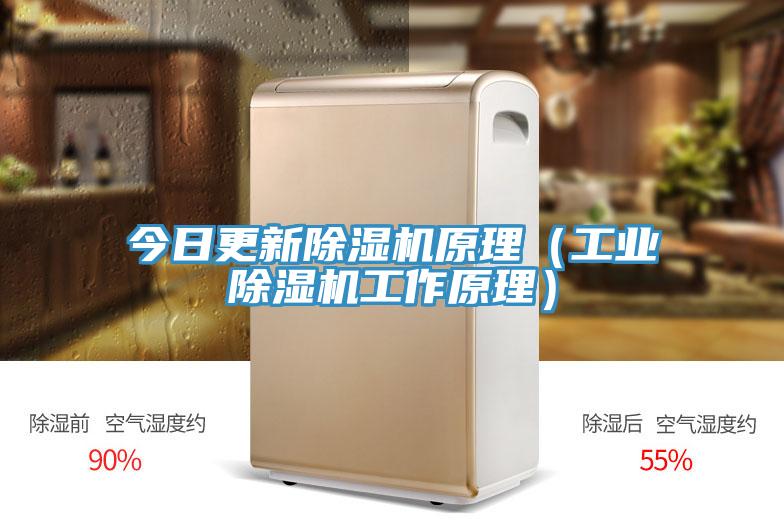 今日更新除濕機原理（工業除濕機工作原理）