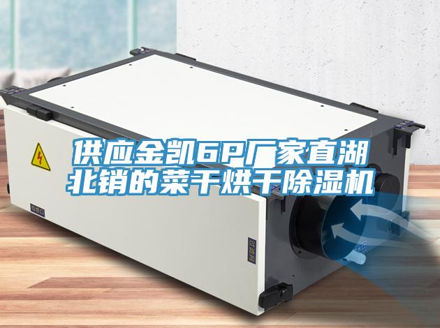 供應(yīng)金凱6P廠家直湖北銷的菜干烘干除濕機(jī)