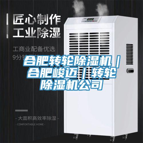 合肥轉輪除濕機｜合肥峻邁｜轉輪除濕機公司