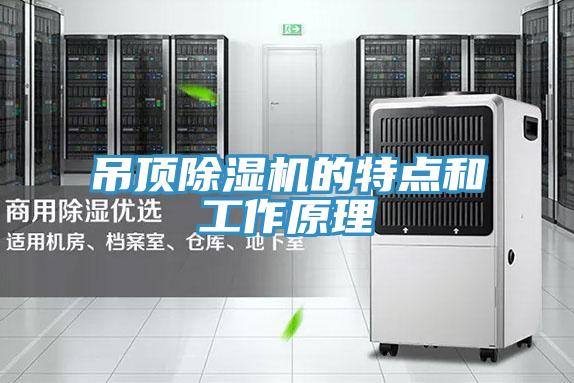 吊頂除濕機的特點和工作原理