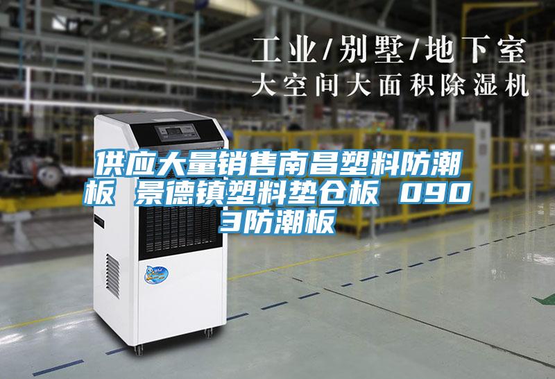 供應(yīng)大量銷售南昌塑料防潮板 景德鎮(zhèn)塑料墊倉板 0903防潮板