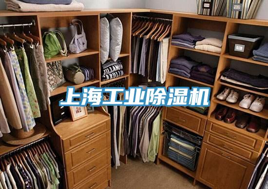 上海工業(yè)除濕機(jī)