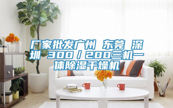 廠家批發(fā)廣州 東莞 深圳 300/200三機(jī)一體除濕干燥機(jī)