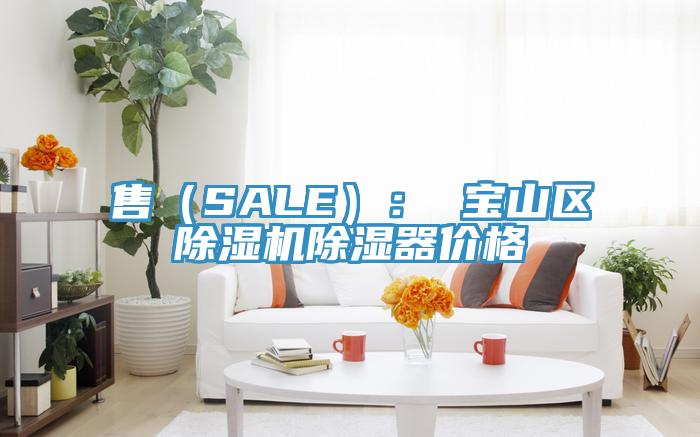 售(SALE): 寶山區(qū)除濕機(jī)除濕器價(jià)格