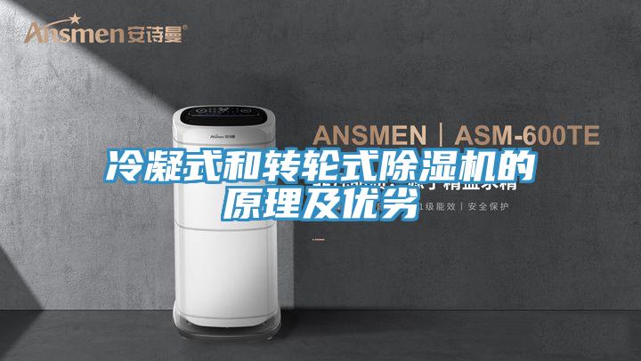 冷凝式和轉(zhuǎn)輪式除濕機(jī)的原理及優(yōu)劣