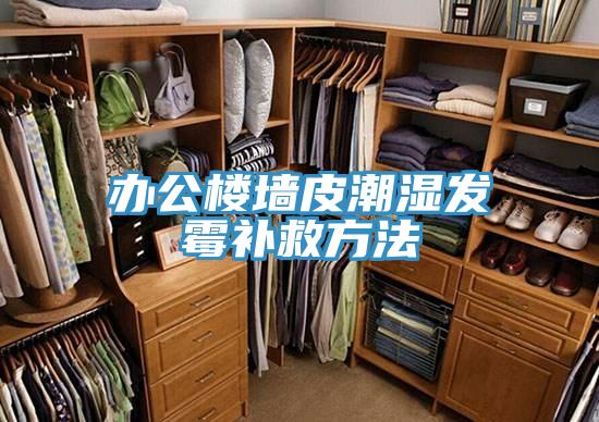 辦公樓墻皮潮濕發霉補救方法