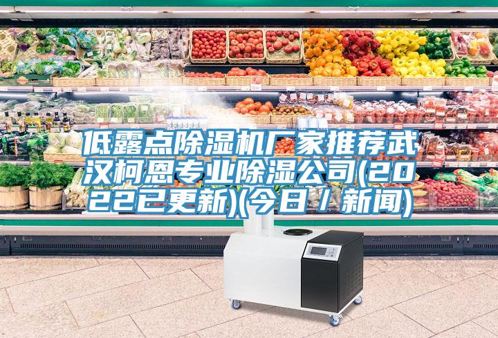 低露點(diǎn)除濕機(jī)廠家推薦武漢柯恩專業(yè)除濕公司(2022已更新)(今日／新聞)