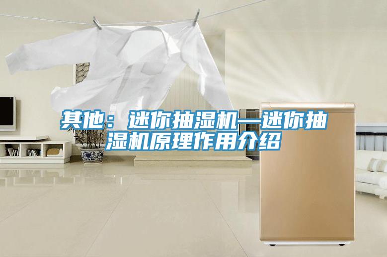 其他：迷你抽濕機(jī)—迷你抽濕機(jī)原理作用介紹