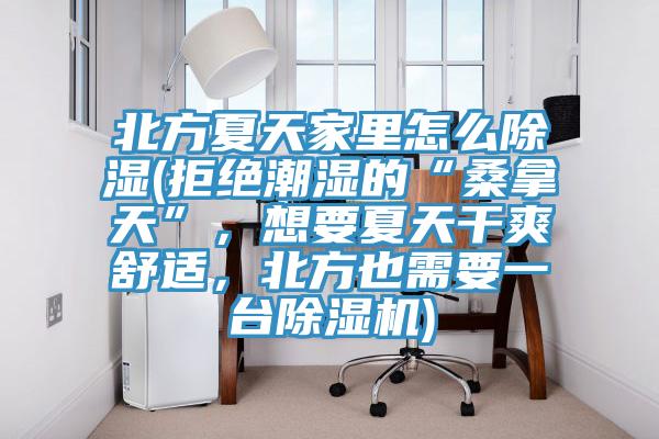 北方夏天家里怎么除濕(拒絕潮濕的“桑拿天”，想要夏天干爽舒適，北方也需要一臺除濕機)