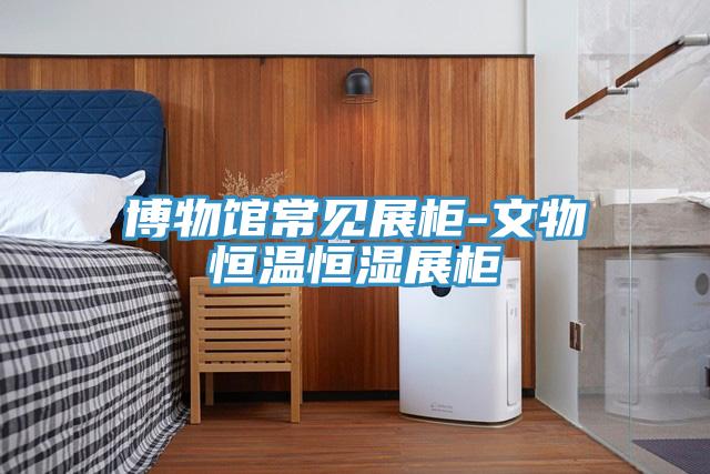 博物館常見展柜-文物恒溫恒濕展柜