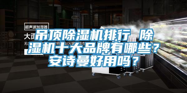 吊頂除濕機(jī)排行 除濕機(jī)十大品牌有哪些？安詩(shī)曼好用嗎？