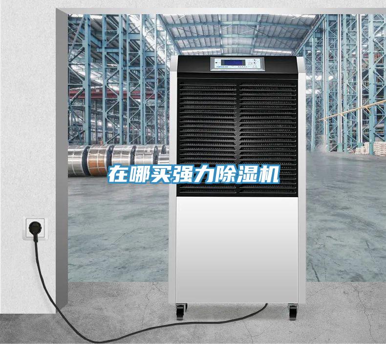 在哪買強(qiáng)力除濕機(jī)