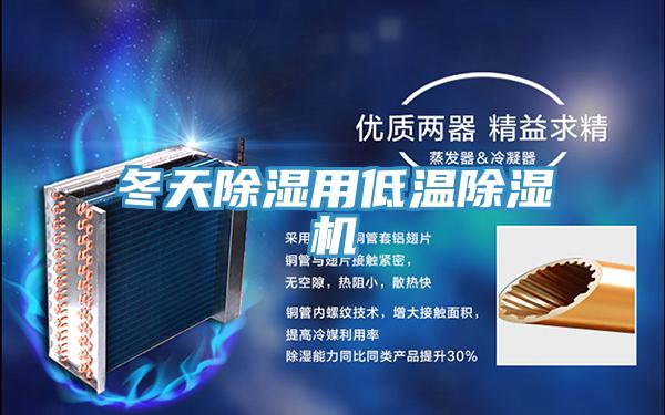 冬天除濕用低溫除濕機(jī)