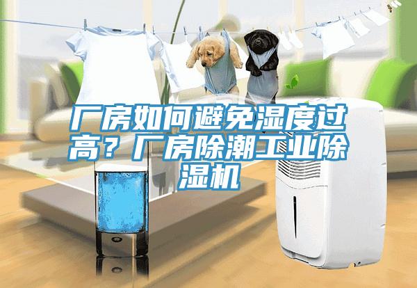 廠房如何避免濕度過高？廠房除潮工業除濕機