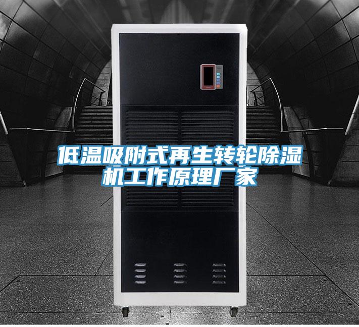 低溫吸附式再生轉(zhuǎn)輪除濕機(jī)工作原理廠家
