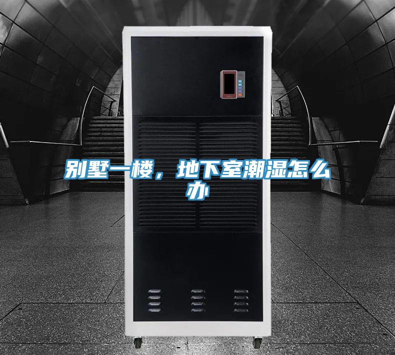 別墅一樓,地下室潮濕怎么辦
