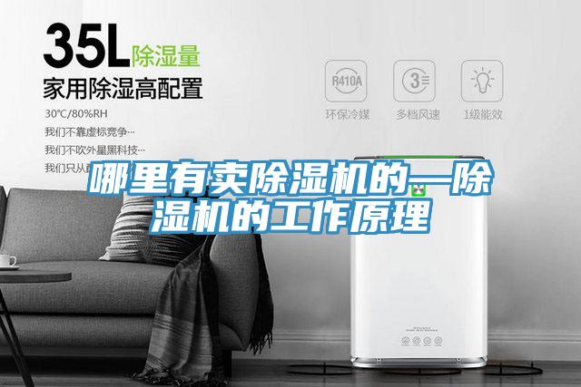 哪里有賣(mài)除濕機(jī)的—除濕機(jī)的工作原理