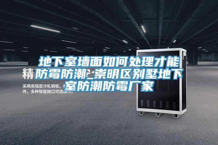 地下室墻面如何處理才能防霉防潮_崇明區(qū)別墅地下室防潮防霉廠家