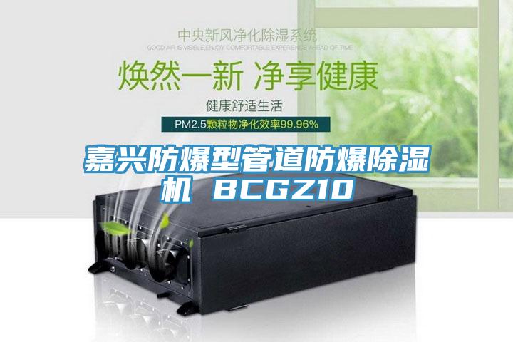 嘉興防爆型管道防爆除濕機(jī) BCGZ10