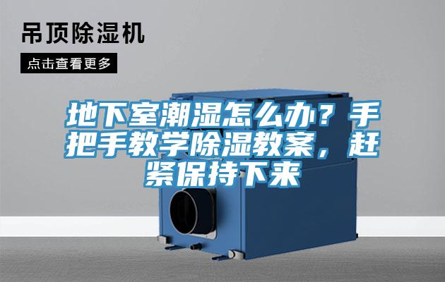 地下室潮濕怎么辦？手把手教學除濕教案，趕緊保持下來