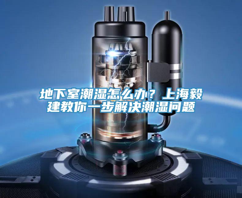 地下室潮濕怎么辦？上海毅建教你一步解決潮濕問題