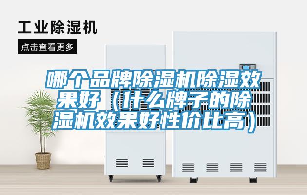 哪個品牌除濕機除濕效果好（什么牌子的除濕機效果好性價比高）