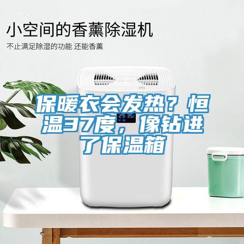 保暖衣會發熱？恒溫37度，像鉆進了保溫箱