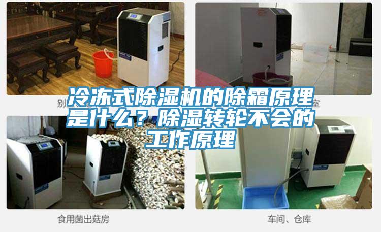 冷凍式除濕機的除霜原理是什么？除濕轉輪不會的工作原理