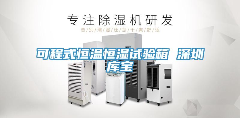 可程式恒溫恒濕試驗箱 深圳庫寶