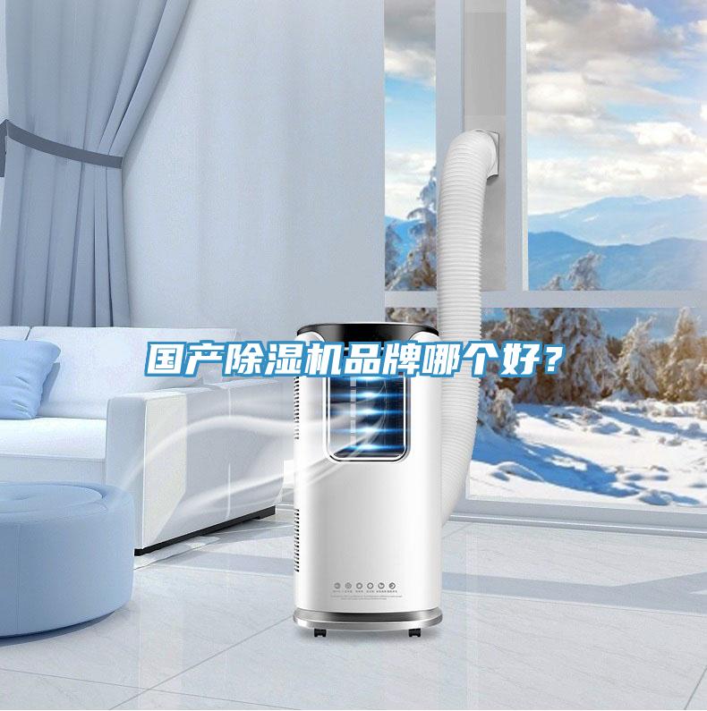 國產除濕機品牌哪個好?