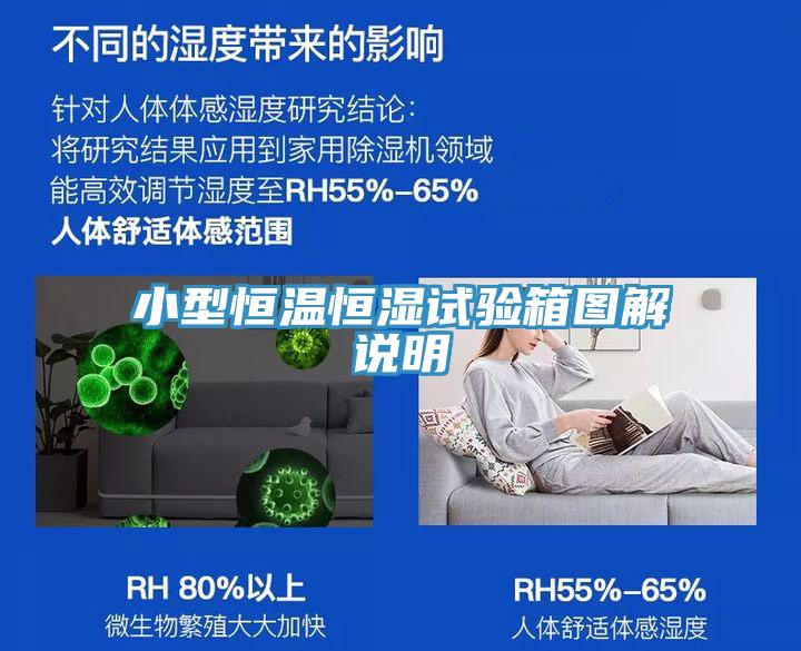 小型恒溫恒濕試驗箱圖解說明