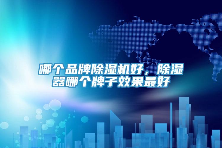 哪個品牌除濕機好，除濕器哪個牌子效果最好