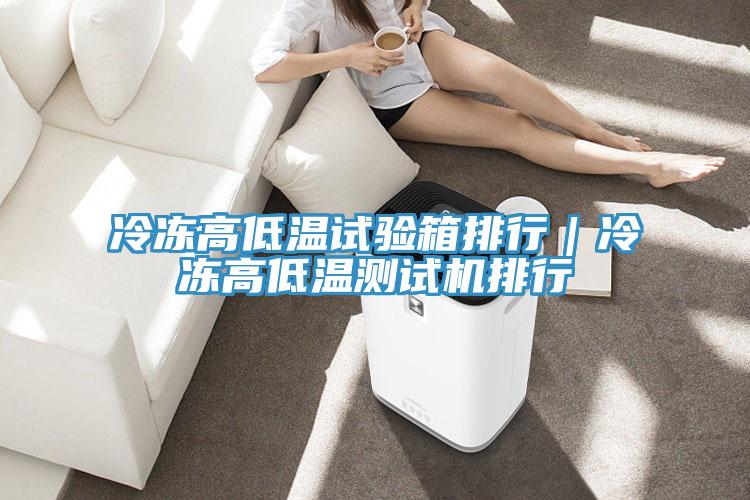 冷凍高低溫試驗(yàn)箱排行｜冷凍高低溫測(cè)試機(jī)排行