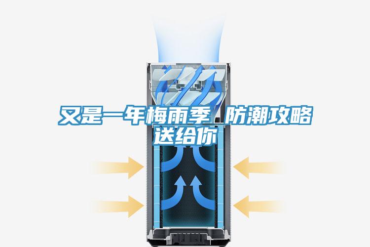 又是一年梅雨季 防潮攻略送給你