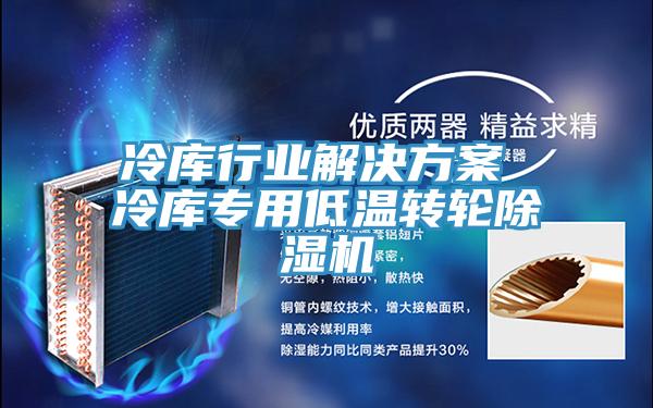 冷庫行業(yè)解決方案 冷庫專用低溫轉(zhuǎn)輪除濕機