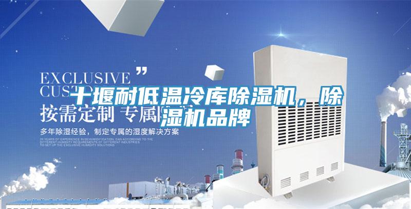 十堰耐低溫冷庫除濕機(jī)，除濕機(jī)品牌