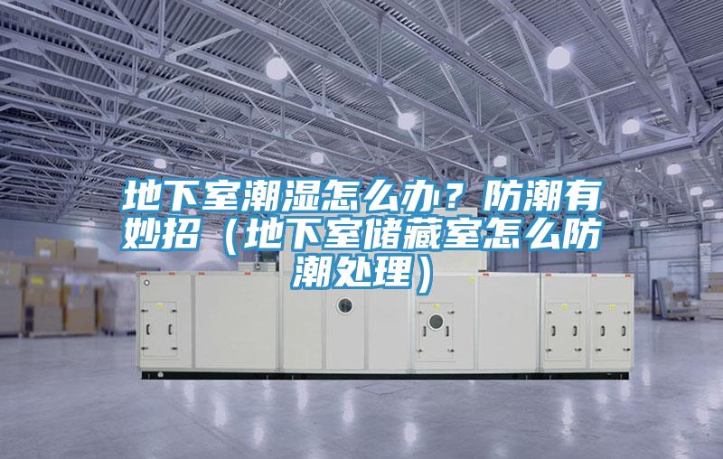 地下室潮濕怎么辦?防潮有妙招(地下室儲藏室怎么防潮處理)