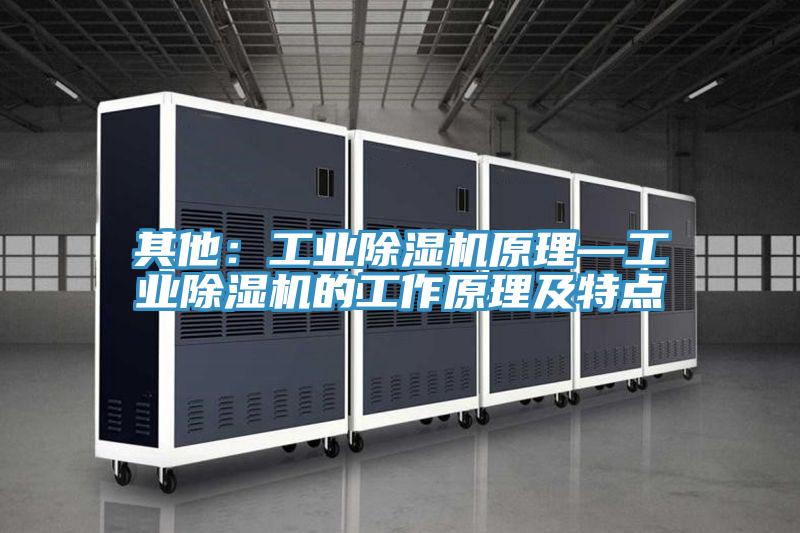 其他：工業(yè)除濕機(jī)原理—工業(yè)除濕機(jī)的工作原理及特點(diǎn)