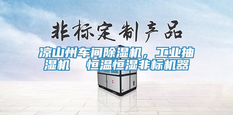 涼山州車間除濕機，工業(yè)抽濕機  恒溫恒濕非標機器