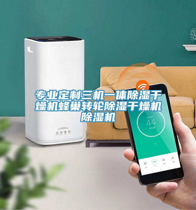 專業定制三機一體除濕干燥機蜂巢轉輪除濕干燥機除濕機