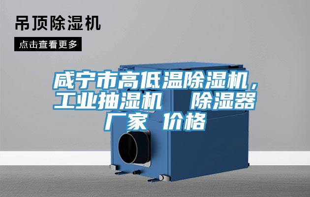 咸寧市高低溫除濕機，工業抽濕機  除濕器廠家 價格