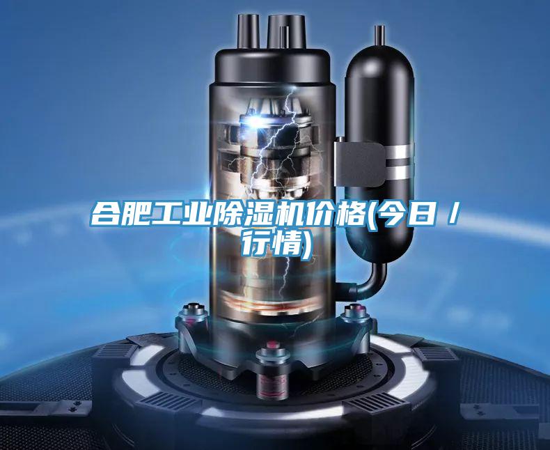 合肥工業除濕機價格(今日／行情)