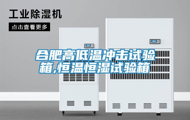 合肥高低溫沖擊試驗箱,恒溫恒濕試驗箱