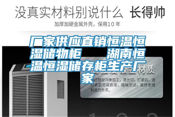 廠家供應直銷恒溫恒濕儲物柜 湖南恒溫恒濕儲存柜生產廠家