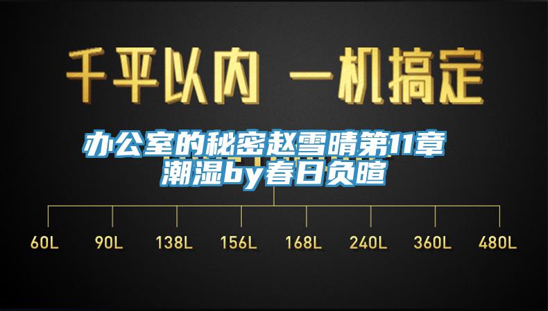 辦公室的秘密趙雪晴第11章 潮濕by春日負(fù)暄