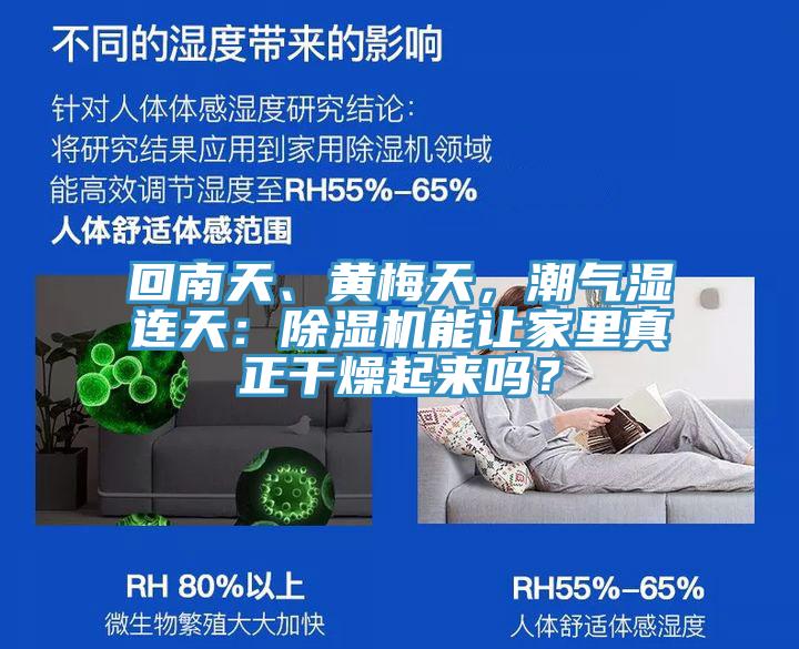 回南天、黃梅天，潮氣濕連天：除濕機能讓家里真正干燥起來嗎？