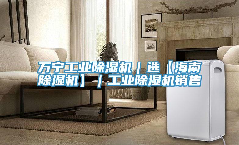 萬寧工業除濕機｜選【海南除濕機】｜工業除濕機銷售