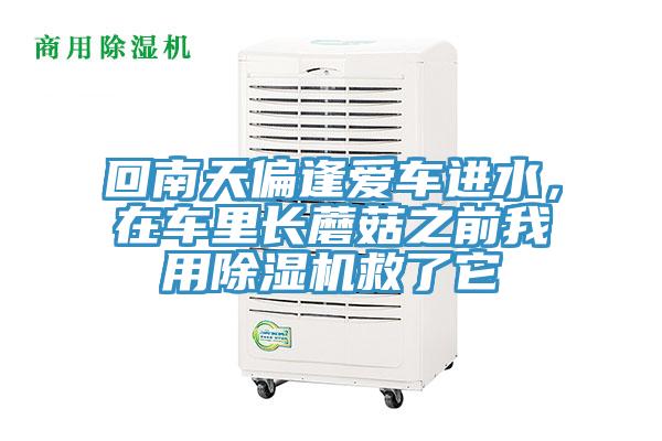 回南天偏逢愛車進水，在車里長蘑菇之前我用除濕機救了它