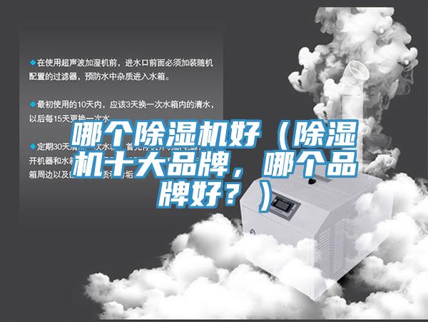 哪個除濕機(jī)好（除濕機(jī)十大品牌，哪個品牌好？）