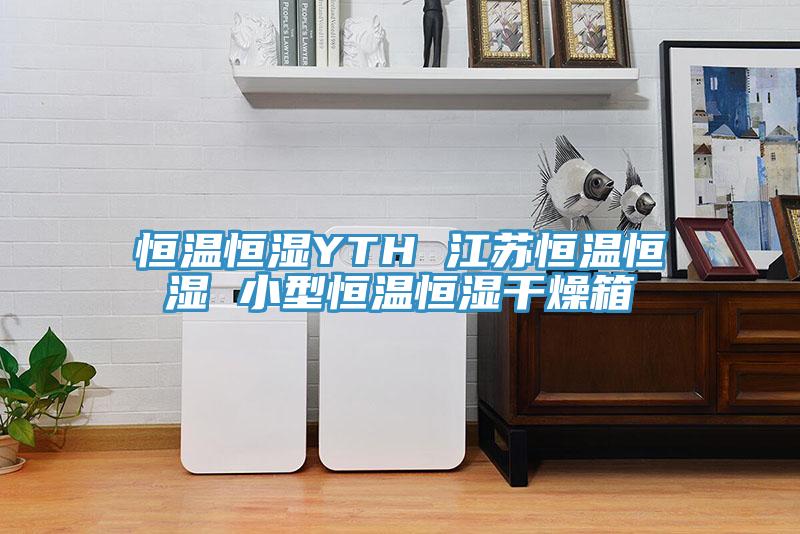 恒溫恒濕YTH 江蘇恒溫恒濕 小型恒溫恒濕干燥箱